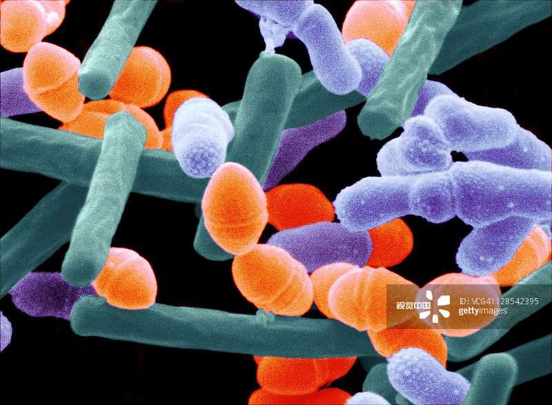 9a0e5cf4cc406987c9af11e5b15c8f9872a271673baf0-TaPfdm