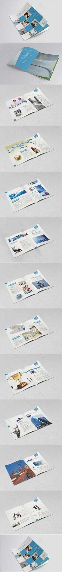 laura11gong采集到宣传册设计
