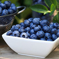 智利特级蓝莓鲜果，保护眼睛 ，含花青素，...