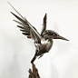Striking Silverware Animal Assemblages by Matt Wilson : South-Carolina based artist Matt Wilson brings old silverware to life in his bent and welded sculptures of birds and other wildlife. Fastened to pieces of driftwood or mounted to segments of old lumb