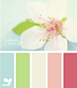 Palette:   Blossom Hues  (Design Seeds) - My front porch color choices....I think!!! Pink door for sure and all the other colors in the wicker, shutters, etc.!!!
