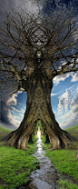 Tree portal: