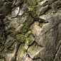 mossy rock에 대한 이미지 검색결과