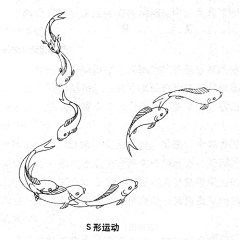 画匣子空间采集到运动规律 