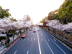 bbbubble_采集到picture | VIEW & NATURE