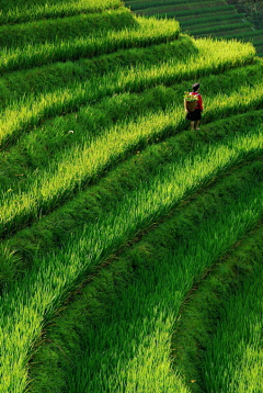 dd的画册采集到风景