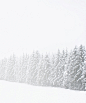 A_Narnian_Winter