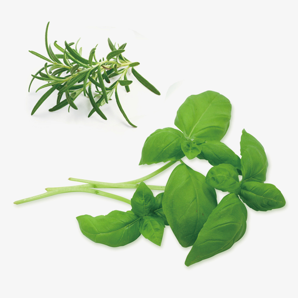 9aa47f3c9b12ad9e5f053b44ba3ab9ab74a8280732505-s3bno0