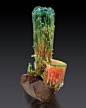 mineralists:

Stunning group of polychrome Elbaite crystals with Smoky Quartz!