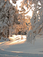 厚厚的积雪，芬兰
