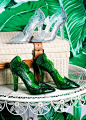 杜嘉班纳Dolce&Gabbana 2016早秋芭蕉树叶图案包鞋画册