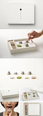Edible Japanese Zen Rock Garden 日本禅宗食品包装设计