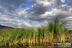 xiaoaogongji采集到明十三陵_夏日水边小景,