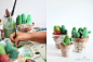 diy-cactus-rock-cover