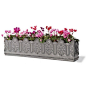 THE WELL APPOINTED HOUSE - Luxury Home Decor- Pinot Noir Window Box Garden Planter in Faux Lead : This lovely window box planter features a faux lead finish. The planter is made from lightweight fibreglass, and can be used on any window sill, roof terrace