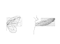 287_butterfly_dragonfly_sketch