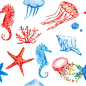 120水彩手绘海螺热带鱼海洋珊瑚贝壳水母鲸鱼蟹EPS矢量设计素材-淘宝网