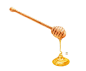 Watercolor honey set : Honey and honeycomb. Watercolor illustration.