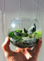 discreteclothing:    Indoor Ecosystem by Bioattic