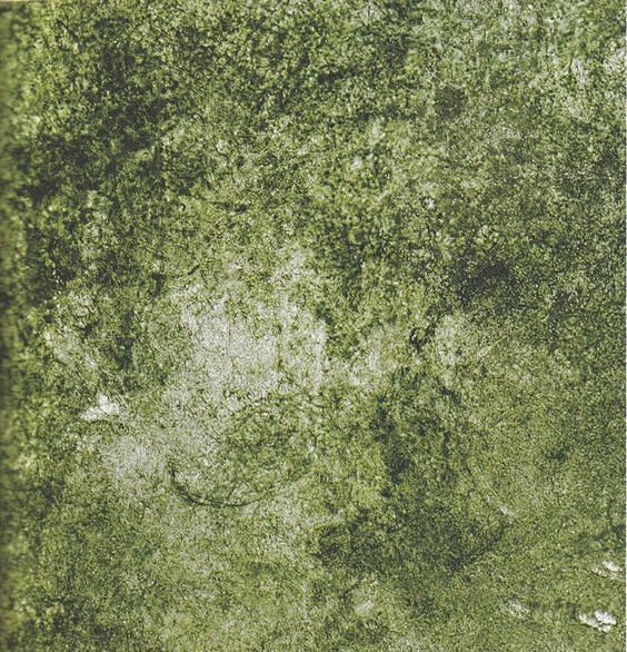 Green Moss Texture #...
