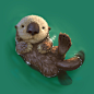 Just an otter floating around, Lynn Chen