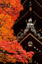 真如塔与红叶，日本京都