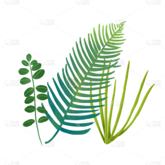 花瓣素材采集到绿植免抠元素