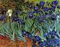 鸢尾花 荷兰 梵高 油画 美国，加州，保罗盖兹美术馆内藏 1889  《鸢尾花》（Irises）是知名的荷兰画家梵高的作品之一，在他去世的前一年1889年5月，他进入位于法国圣·雷米的一间精神病院，后所画的，目前收藏在美国加州保罗盖兹美术馆内。梵高在圣-雷米病院中所画的最初的油画中，画满了这里的花或植物。其中最出色的显然是在花园里画的一幅大油画，画中的鸢尾花好像是由花和叶子精致编成的纺织品，上面几乎既看不见地，也看不见天。整个画面构图以相同形状的花、相同形状的叶子、相同的颜色反复出现来表现百花盛开的令人眼