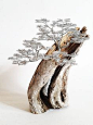 Driftwood Sculpture / Driftwood Art / Driftwood Bonsai / Wire
