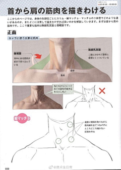 南城有君名北辰采集到手臂 腿 胸 头