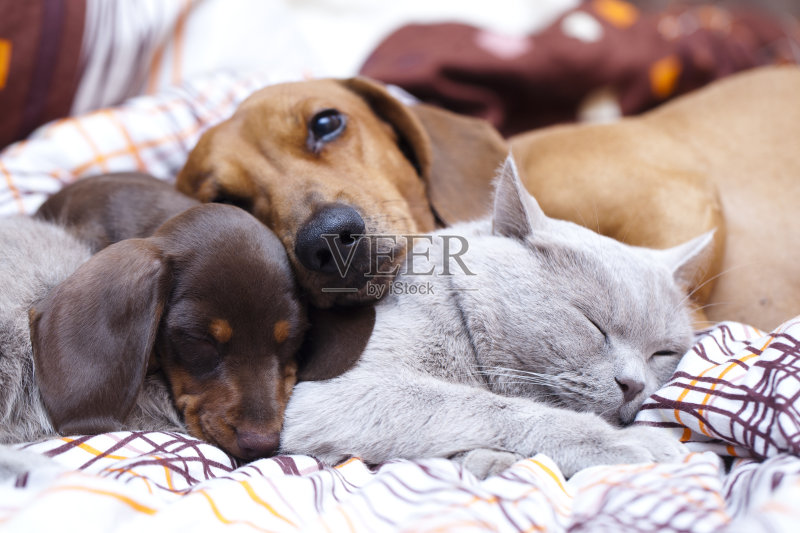 9b949c3058cb481edbd81ed54fb865e3d242fcf91a336-q9GLEj