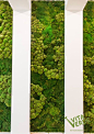 #MossWallideas  Do you want to make people feel great? Relaxed? Happy? Place a #moss wall at your #office to reduce stress. Green color will refresh your workspace and create good vibes!