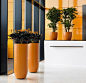 Beautiful orange coloured planters