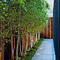 Coen + Partners Fulsh Path Lights, Gardenista