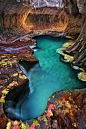 翡翠池，锡安国家公园，犹他州

Emerald pool at Subway, Zion National Park, Utah. Omygosh. | Places