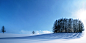 Snow-Trees-l.jpg (1200×600)