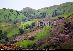 六王爷采集到新疆风景