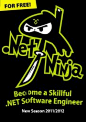 Net Ninja.