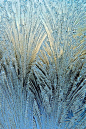 Frost...all through the winter we would have frost on our window panes, especially at night and early morning.: Ice Art, Cat Eye, Pattern, Ice Crystals, God Is, Window Panes, Ice Formations, Jack Frostings, Pretty Pictures