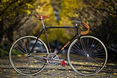 Senventeen采集到Fixed Gear