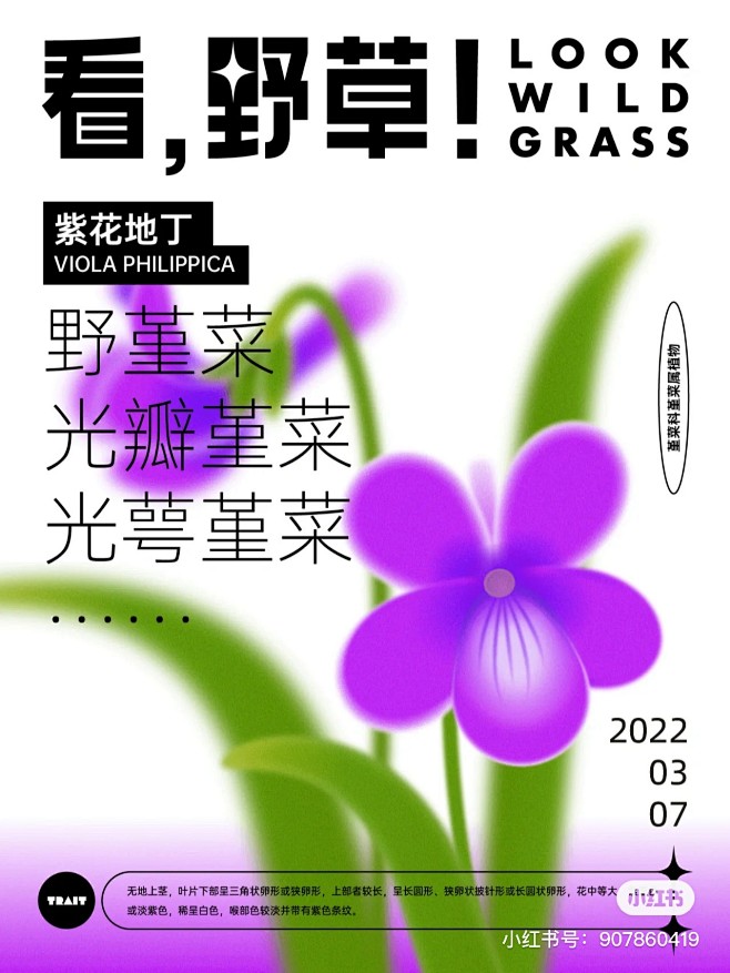 海报 排版 版式 字体 图案 植物 @智...