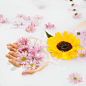 Close-up of a female's hand holding yellow and pink flowers on liquid background