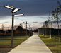 sunflower-street-lighting-features-efficient-cost-effective-and-eco-friendly-city-lighting2.jpg (450×390)