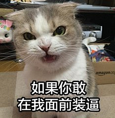 林妹妹啊采集到猫猫