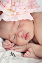 Lynn Quinlivan Newborn Baby Photographer Central Massachusetts Infant Photography Shrewsbury MA