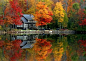 Autumn Reflection, Lake St. George, Maine
photo via janb