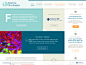 Estetica Oncologica home-page
by Michele Giorgi