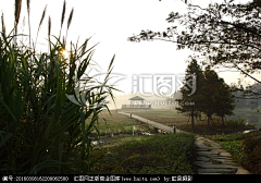 张海涛Tom采集到现实场景