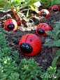 Golf balls painted as ladybugs...a cute idea for a kid's garden!: 
