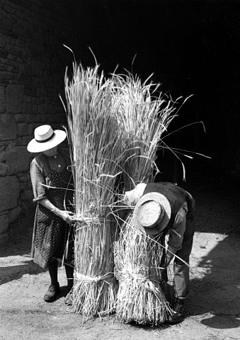 France 1956 - Edouar...